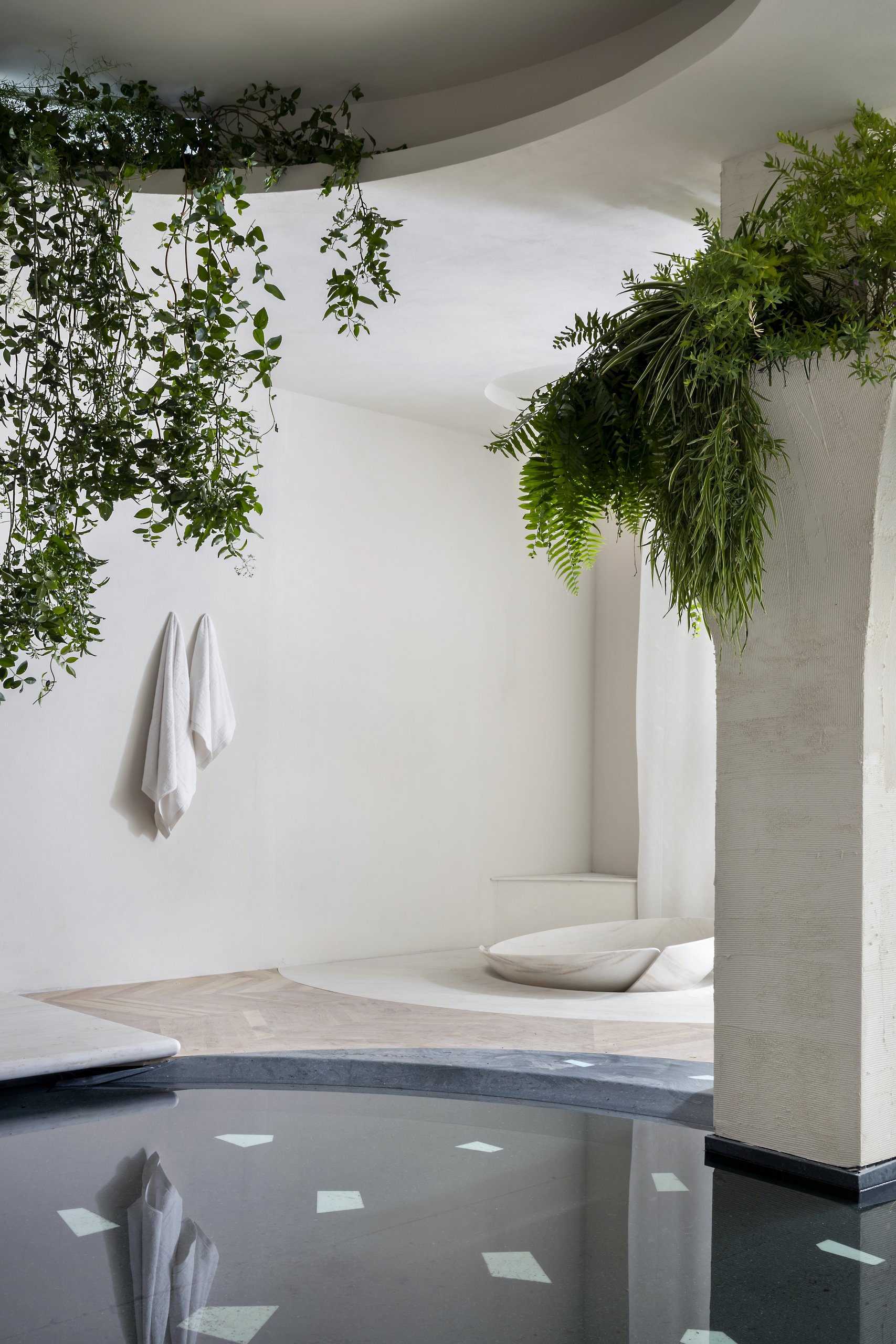 Oasis — imagen 2 del proyecto
