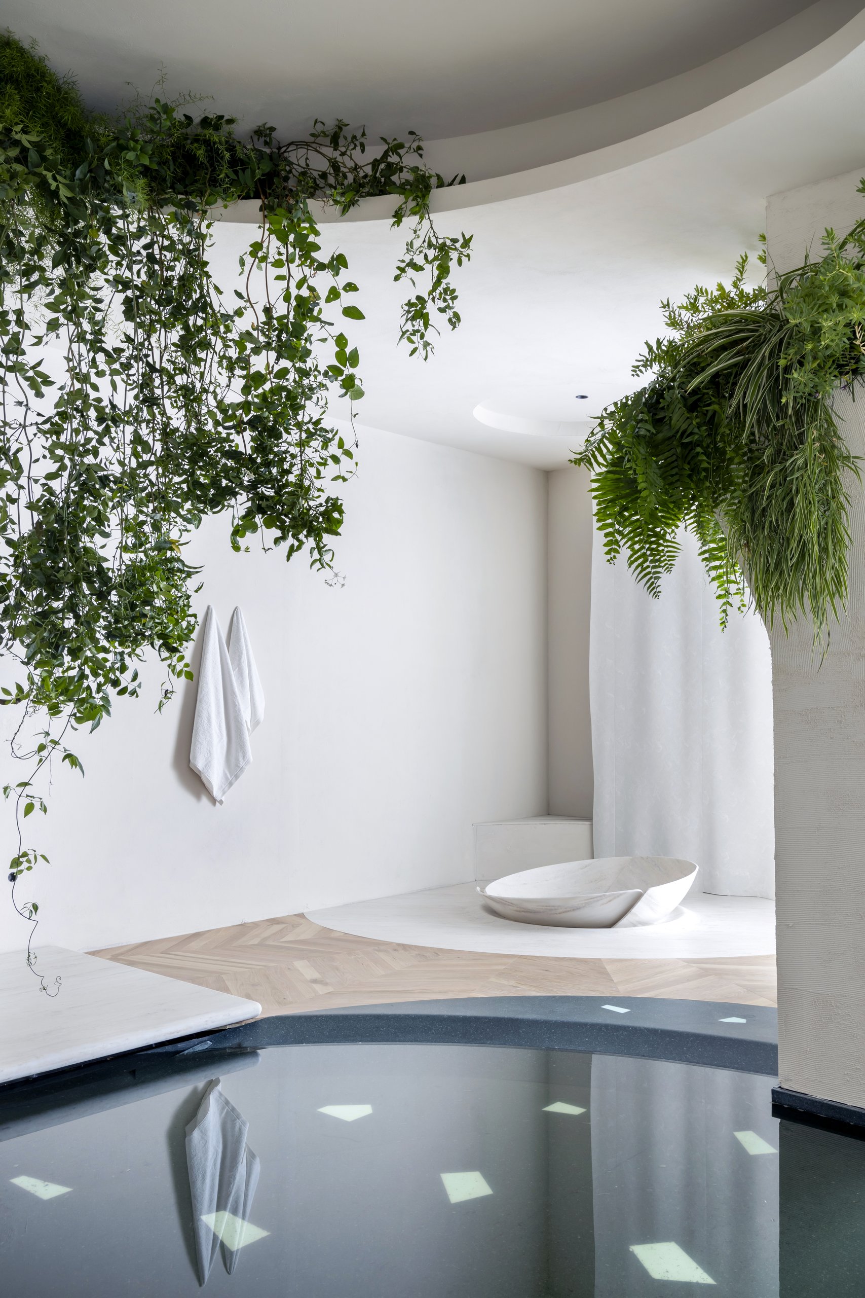 Oasis — imagen 4 del proyecto