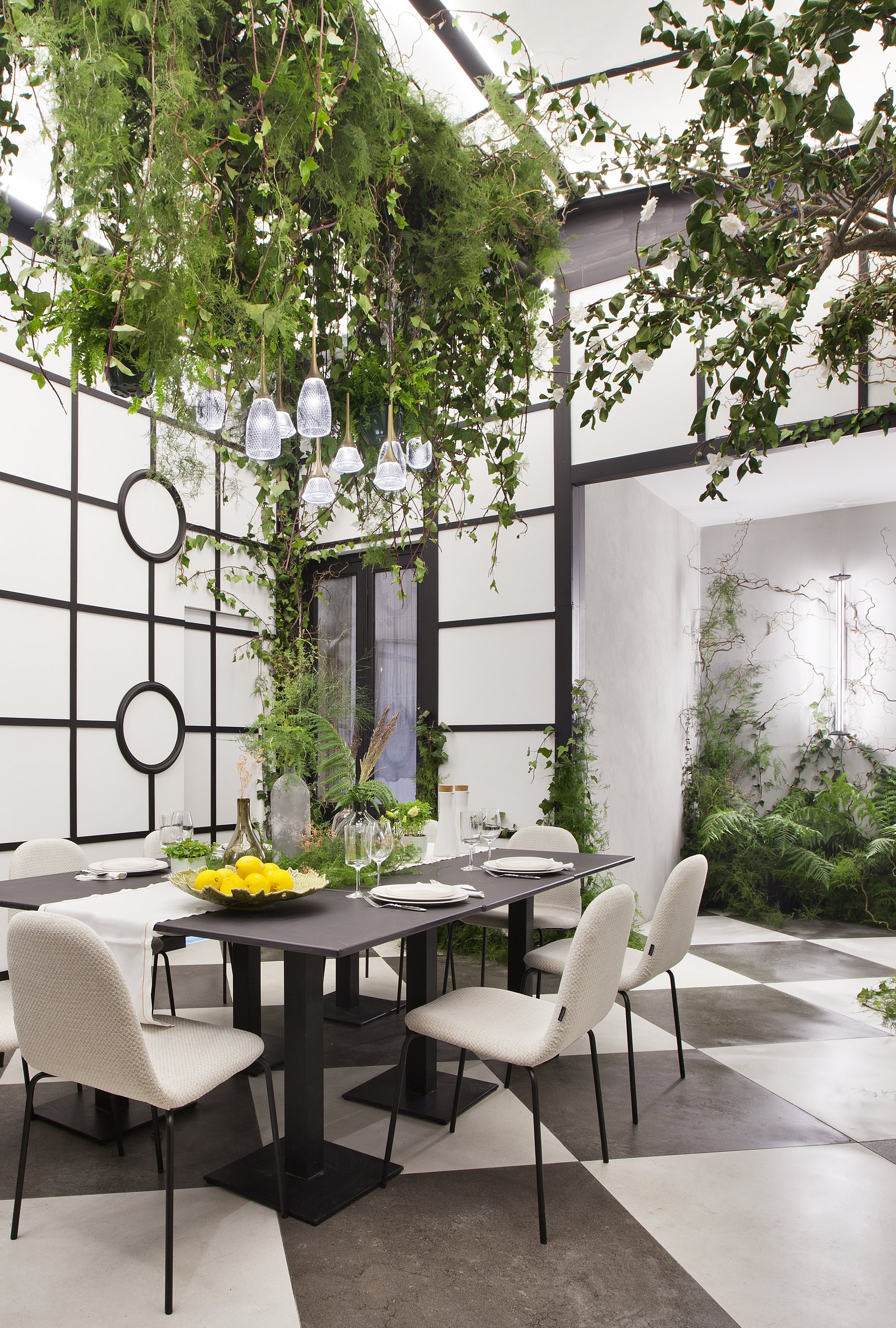 Mono Viejo — imagen 4 del proyecto