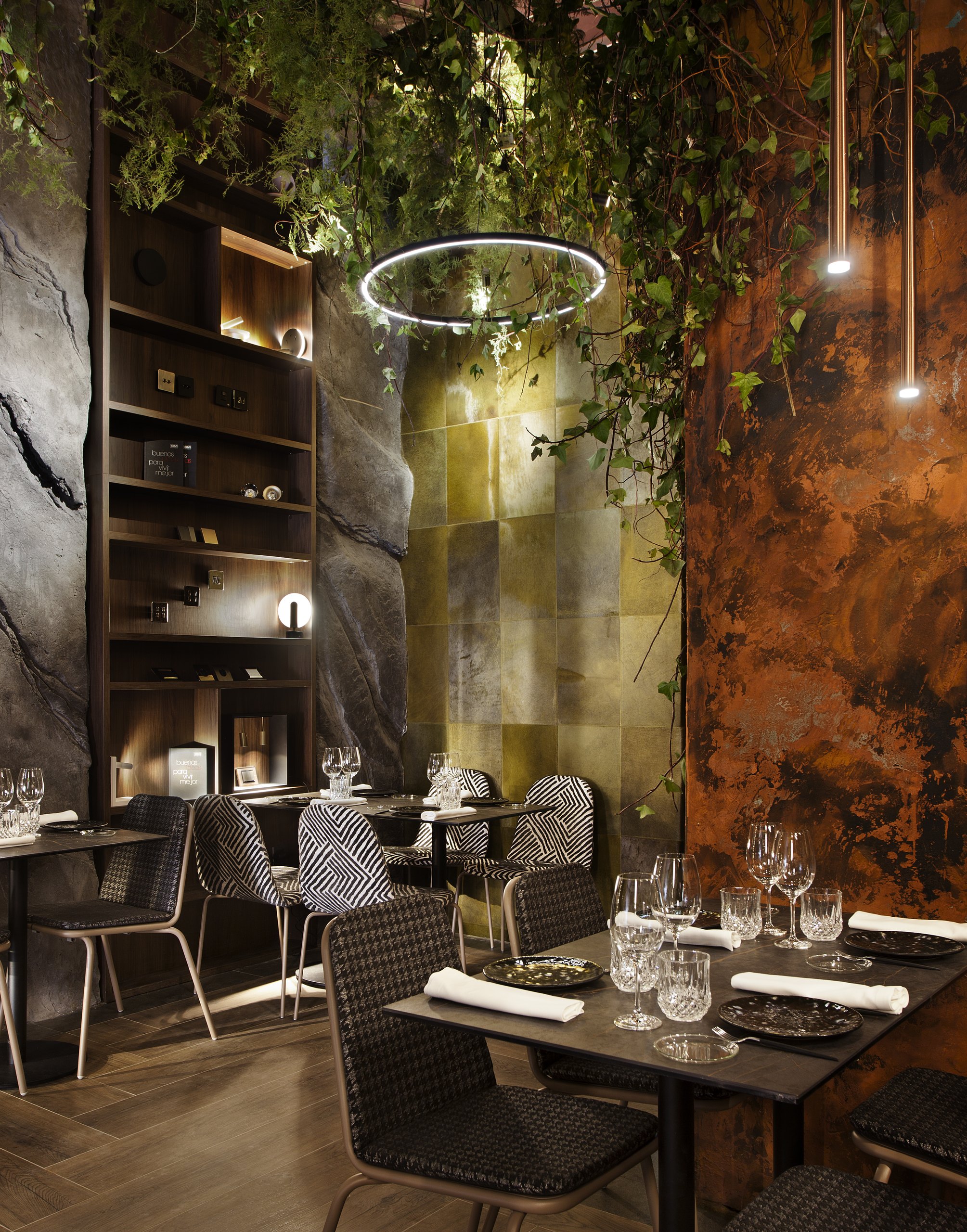 Mono Viejo — imagen 7 del proyecto