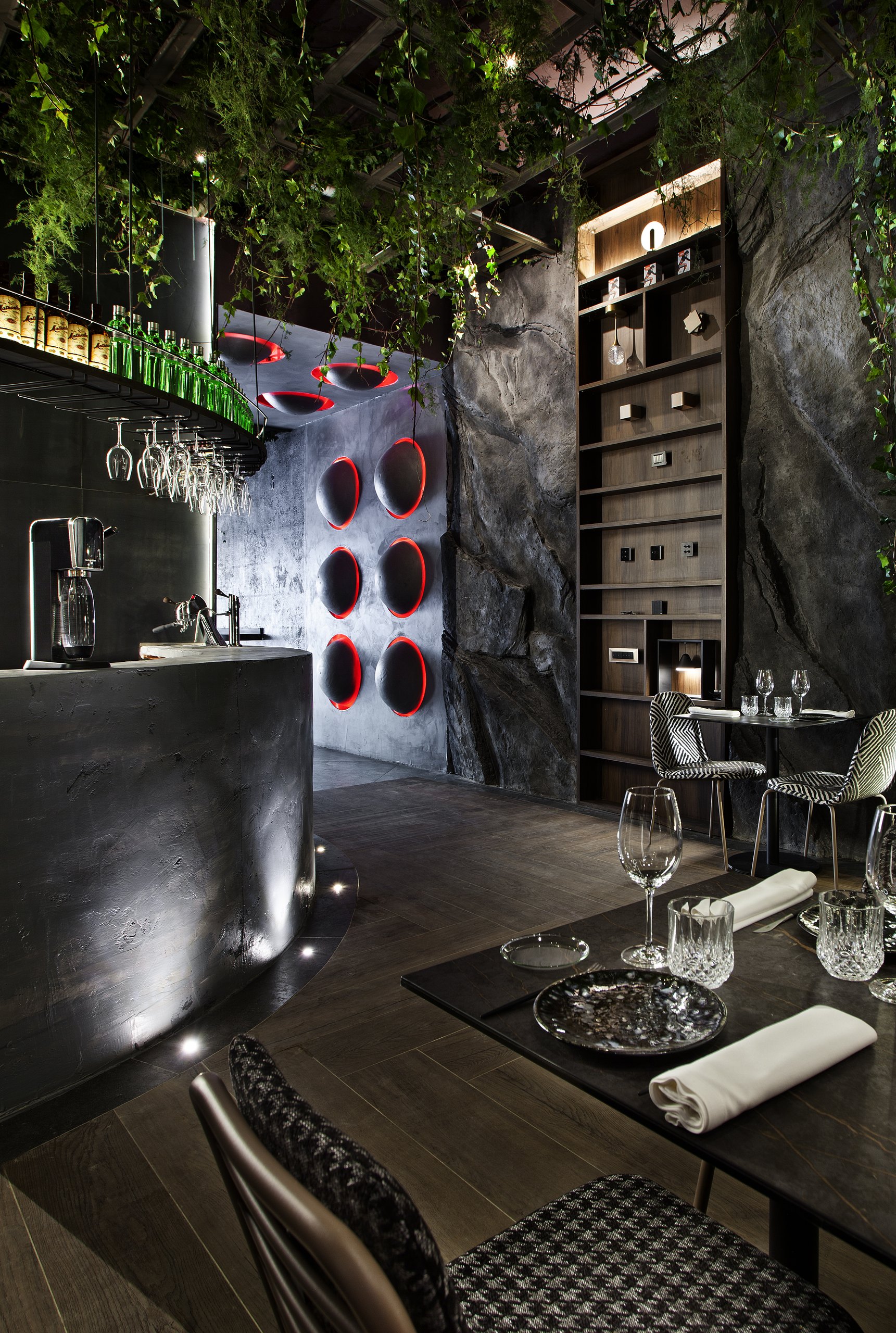 Mono Viejo — imagen 8 del proyecto