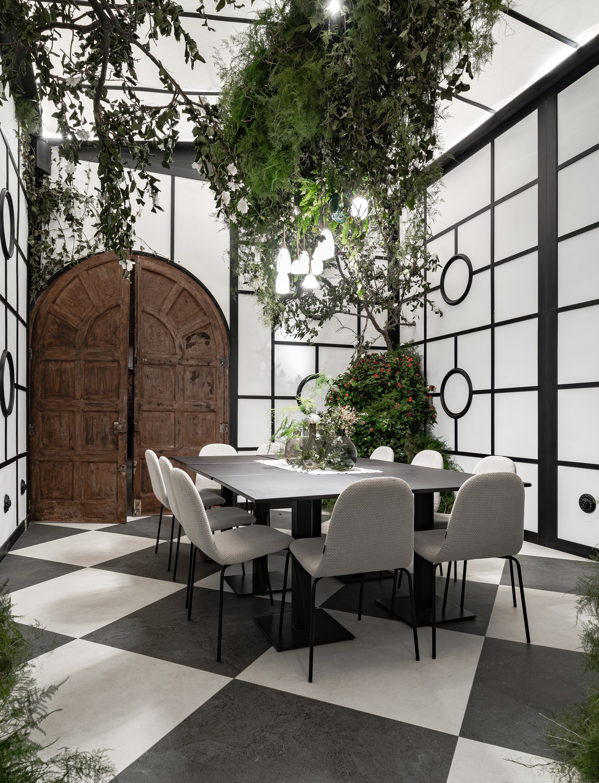 Mono Viejo — imagen 9 del proyecto