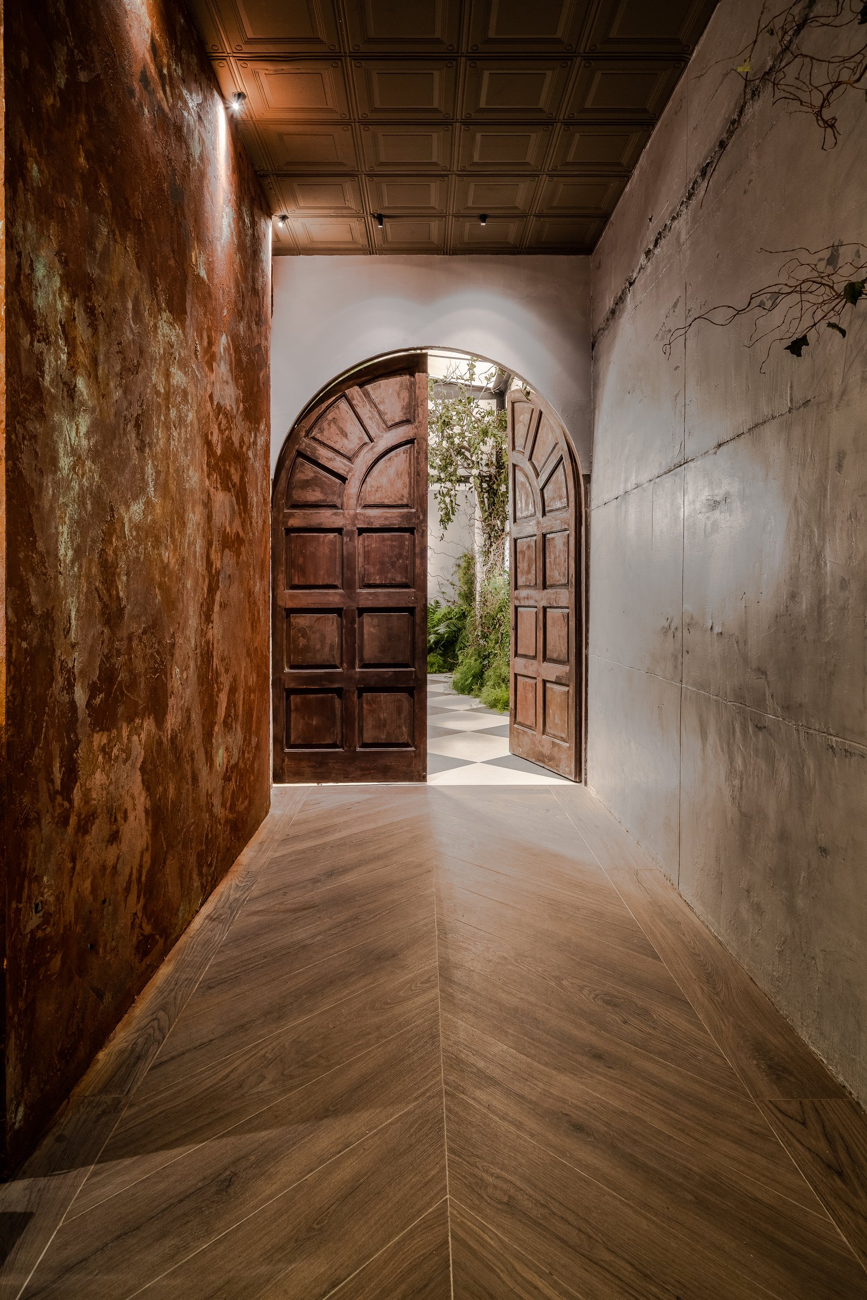 Mono Viejo — imagen 10 del proyecto